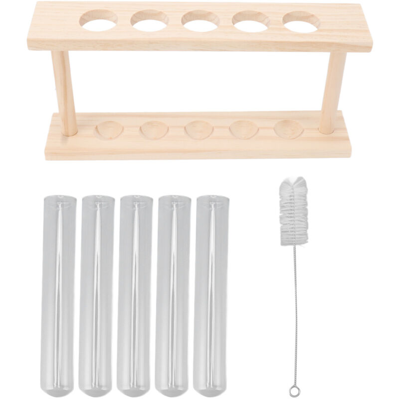 Gistuch - 5 Terrarium de plante de tube à essai Transparent observer le Terrarium de plante d'état de croissance avec le support en bois de plante