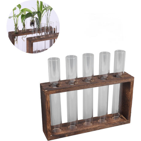 5 Tube Terrarium Verre Transparent Tube à Plantes Étanche Sur Socle Bois de Pin incluant Brossage pour Windowsill Conversion