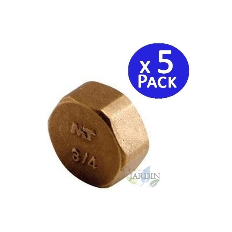

5 x Tapón latón hembra 3/4'