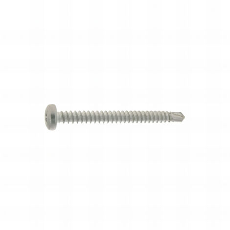 50 autoperceuse inox A2 tête cylindrique torx 25 din7504m 4.8 x60 mm