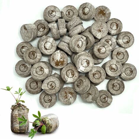 50 blocs nutritifs pour semis, 3.51.2 mm blocs nutritifs en granulés de tourbe compressés, granulés de noix de coco pour la plantation de plantes de jardin pour la propagation.