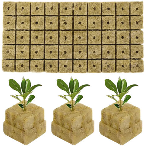 50 Bloques Esponja Hidropona Para Plantulas