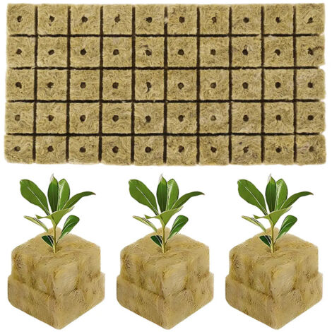 50 Bloques Esponja Hidropona Pour Plantes E