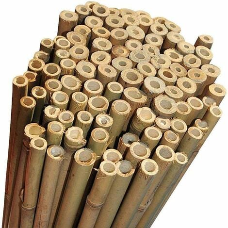 ALMASTORE 50 Canne Bamboo alte 210 cm Ø 24/26 mm Per piante agricoltura orto arredi strutture in bambù