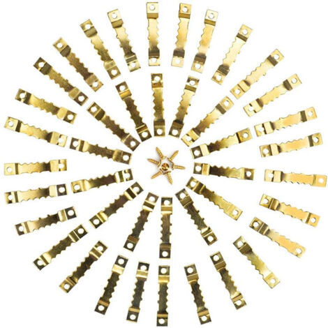 50 festons + 100 vis - Or - Kit de fixation pour tableaux en acier inoxydable, crochets pour tableaux, crochets pour miroirs, assortiment P-AquaForge