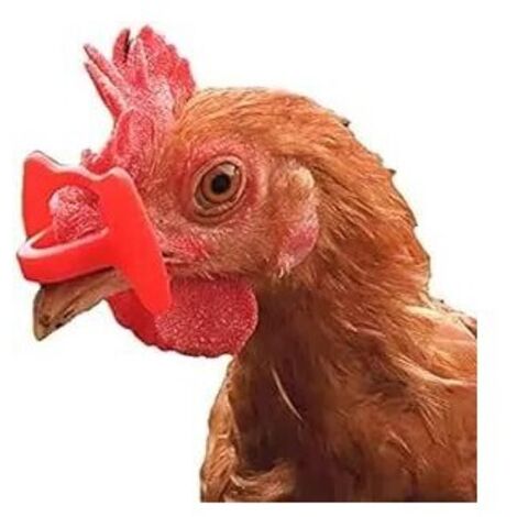 50 LUNETTES ANTI-POULES CASSEUSES D'ŒUFS