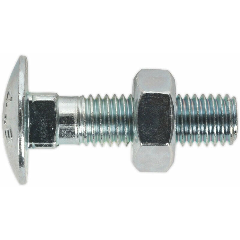 Loops - 50 pack Zinc Plated Coach Bolt and Nut - M10 x 40mm - 1.5mm Pitch - din 603