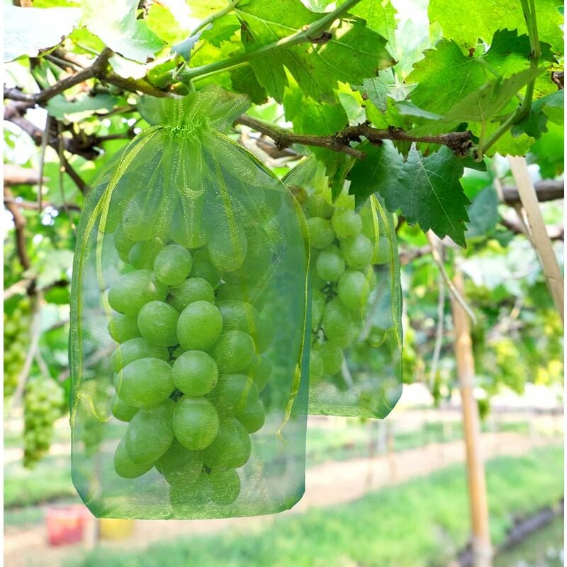 50 Pièces Sac de Protection de Grappes de Raisins, Sac en Organza des Fruits avec Cordons Donne Protection Totale Contre Les Guêpes Les Oiseaux et