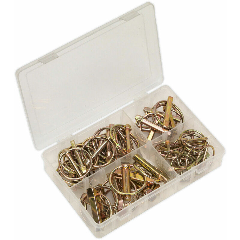 Loops - 50 Piece Linch Pin Assortment - Metric Sizing - Partitioned Box - Various Sizes