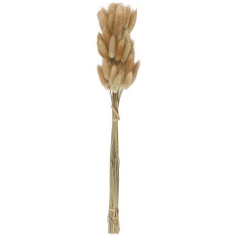 50 Pièces Bouquet de Fleurs Séchées Naturelles Couleurs Crues pour Décoration Mariage Herbe Queue de Lapin