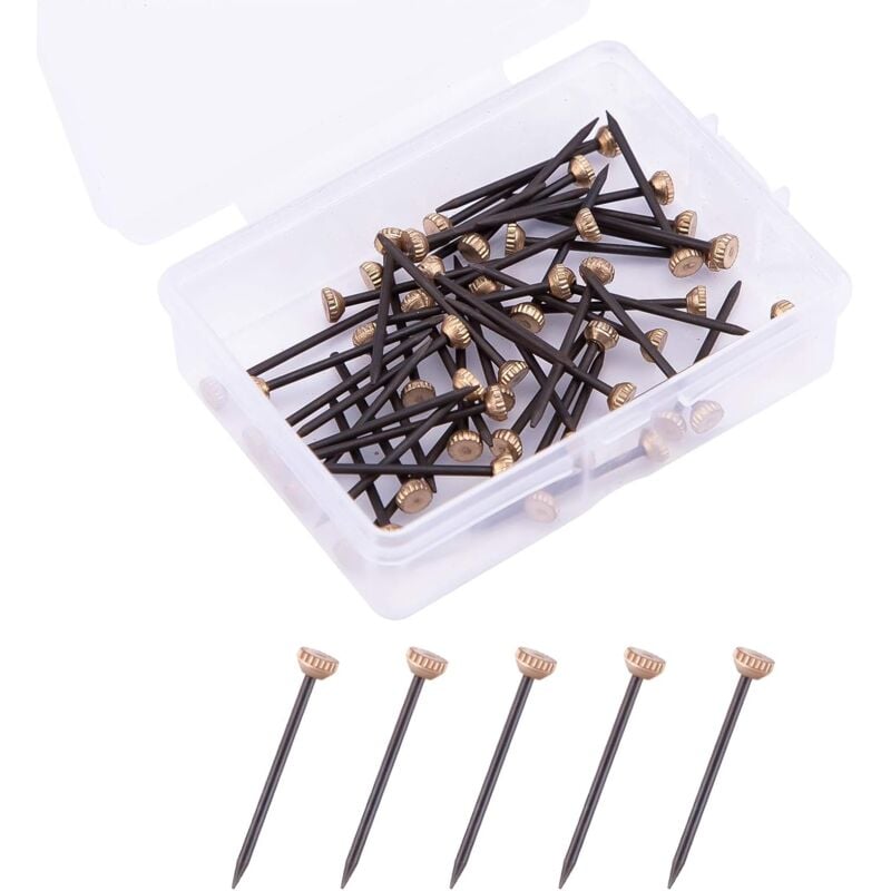 50 Pieces Picture Hanging Nails Picture Hanging Solutions Plaster Frame Hangers with Plastic Storage Box