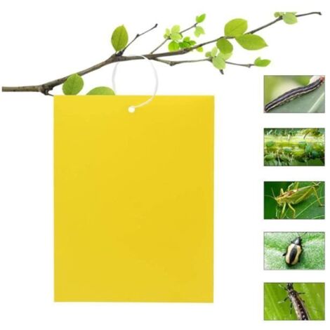 50 Pièces Pièges à Insecte, Papier Collant Double Face,Jaune Sticky Papiers pour Mouches Blanches, Pucerons, (15 cm x 20 cm )