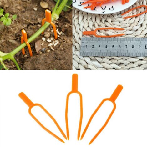 50 pinces de fixation pour plantes, accessoires de jardinage, fourchette à fraises F