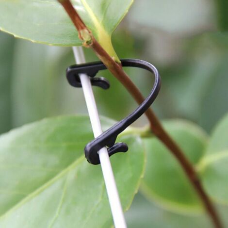 50 piquets en plastique avec clip pour suspendre les plantes grimpantes