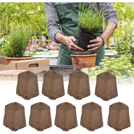 50 tapones de inicio Environet para germinación hidropónica y sustrato para macetas, virutas de bambú negro de 30x30x40 mm para plántulas de frutales, flores y plantas medicinales.