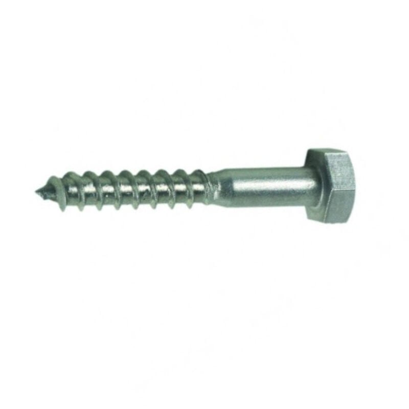 Tirefonds Bois Acier Zingué din 571 Tête Hexagonale - 50 pièces - 10 mm de diamètre - 100 mm de longueur - Épaisseur solide pour fixation durable