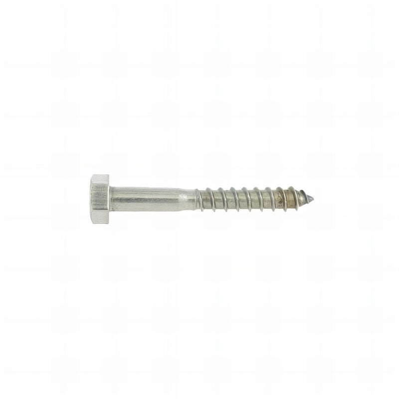 Rotofor - 50 Vis Bois tête hexagonale DIN571 inox A2 - Diamètre 5 mm - 40/24