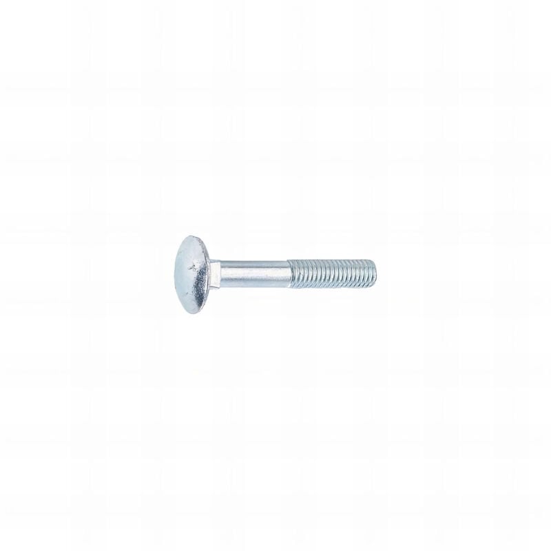 Rotofor - 50 Vis tête ronde collet carré Zinguee - diamètre 8 mm - Longueur 100 mm