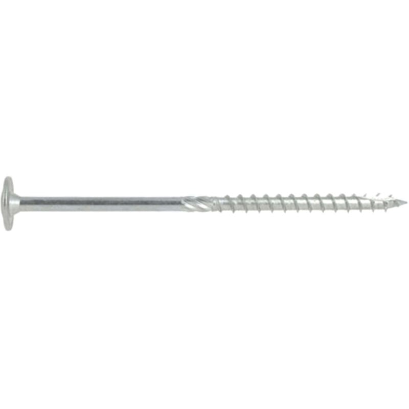 Rotofor - 50 Vis Vking Disque Torx zingués blanc - 8,0 mm - (Embout Inclus) - 80/50