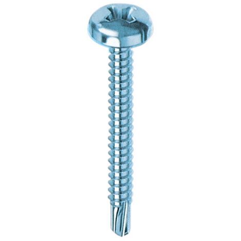 50 viti autoperforanti TC a croce 4,2x19 mm testa cilindrica acciaio