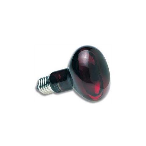 50 W Zoo med lampe spot infrarouge - Lampe chauffante infra-rouge nocturne