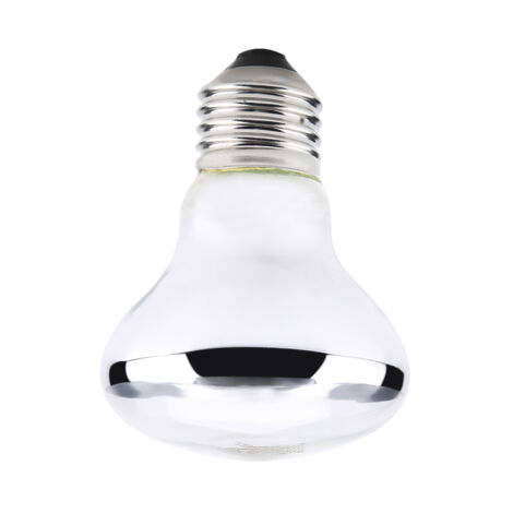 50-Watt-Wärmelampe für Reptilien, Vögel und Haustiere (220-230 V)