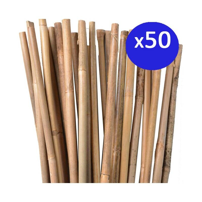 50 x Tuteur en Bambou 120 cm, 8-10 mm. Baguettes de bambou, canne de bambou écologique pour soutenir les arbres