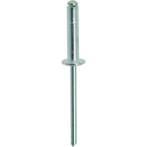 500 rivets alu/acier tp 4.8x18 - 23831500