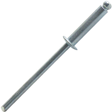 500 rivets aveugles acier TP, D. 3.0 x 6 mm - SD3006 - Scell-it