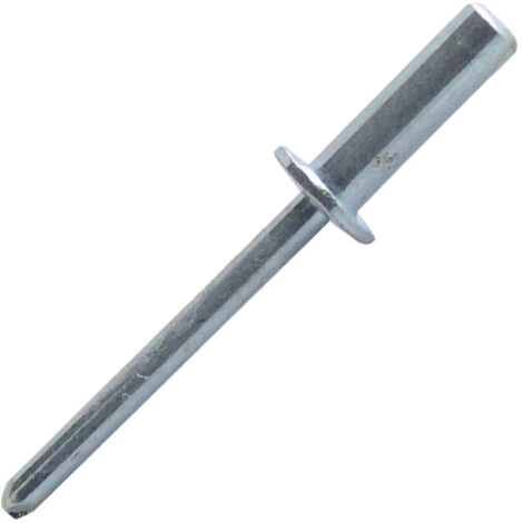 500 rivets aveugles étanches acier TP, D. 4.8 x 10 mm - WSD4809-BC - Scell-it