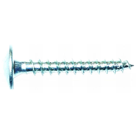 500 vis de penture D. 6 x 25 mm zinguée blanc TX 30 - VPB60025 - Alsafix