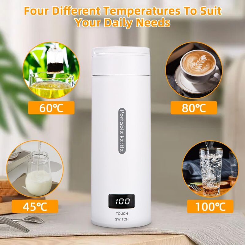 500ML Mini Bouilloire portable Electrique de Voyage, 4 Temperatures Bouilloire Electrique, Acier inoxydable 304 avec Brosses et sacs, Tasse de