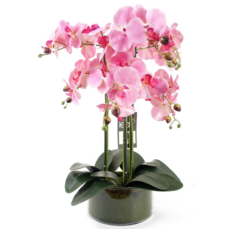 Leaf 50cm Artificial Orchid with Glass Planter Pink