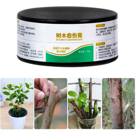 50g Plant Healing Sealant Bonsai Wound Healing Agent Tree Pruning Paste