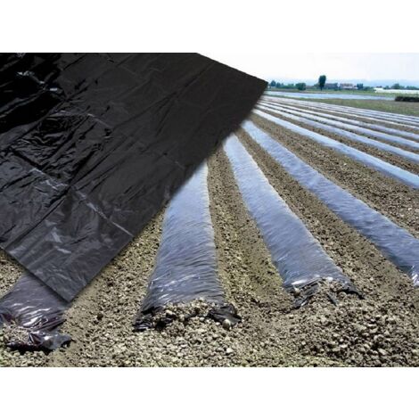 50KG TELO PER PACCIAMATURA SENZA FORI  H. cm. 100 KG 50