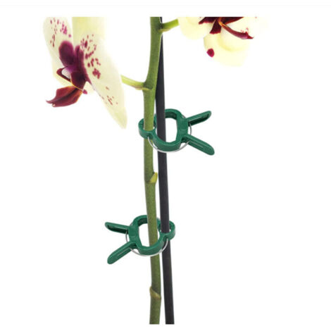 50Pcs Clips de Plantes, Pinces à Ressort Support de Plante pour tomates et légumes de Vigne-grand + petit