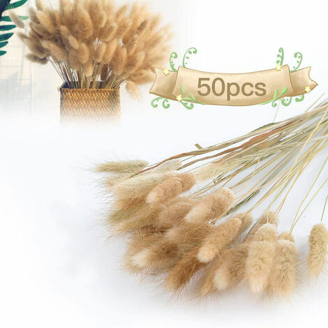 50pcs dried flowers pampas grass decoration, dried pampas grass large bouquet natural flowers pampas herb bouquet wedding decoration home decor bedroom living room