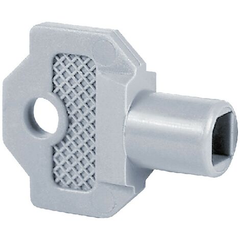 50PZ CHIAVE PER TAVELLINO in PVC