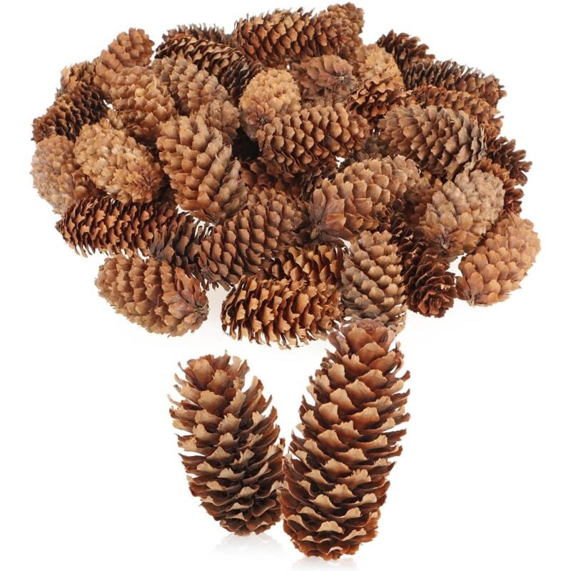 50x Pommes de pin décoratives - décorations dispersées pour l'automne et l'hiver - décorations de cônes - Petites Pommes de pin - décorations de Noël