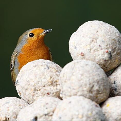 50x Suet Fat Balls For Garden Bird Feeders