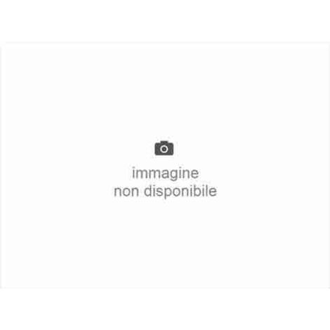 531059FULL-1132 - CLIGNOTANT LED SOLEX IP54 BB BLANC/TRANSPARENT