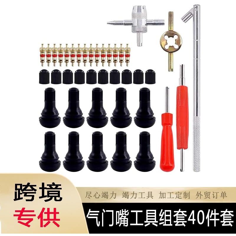 54Pcs Demonte Valve Pneu Outil, Valve Core Remover pour Voiture Remplacement, Démonte Valve Pneu, Tire Repair Kit
