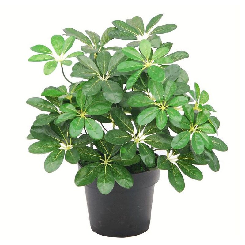 Leaf 55cm Dark Green Artificial Umbrella Plant