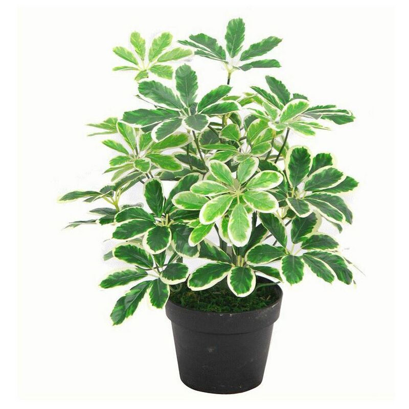 Leaf 55cm Variegated Artificial Schefflera Arboricola Plant