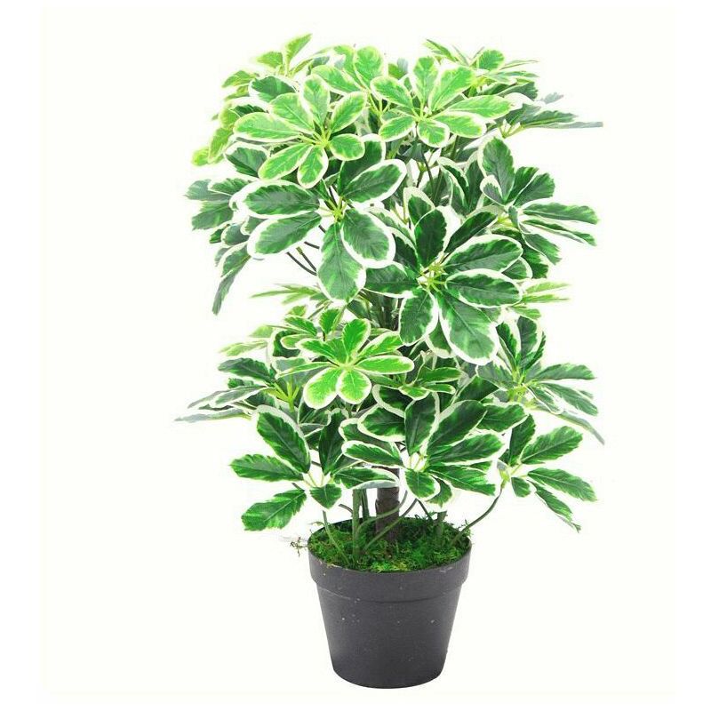 Leaf 55cm Variegated Artificial Schefflera Arboricola Plant