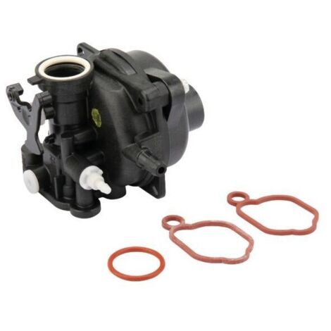 591160 - Carburateur Complet pour Moteur BRIGGS et STRATTON