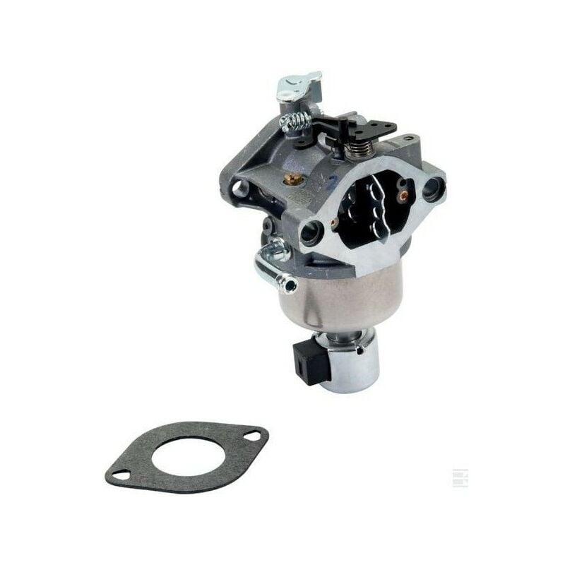 Briggs&stratton - 594593 - Carburateur complet pour moteur briggs et stratton