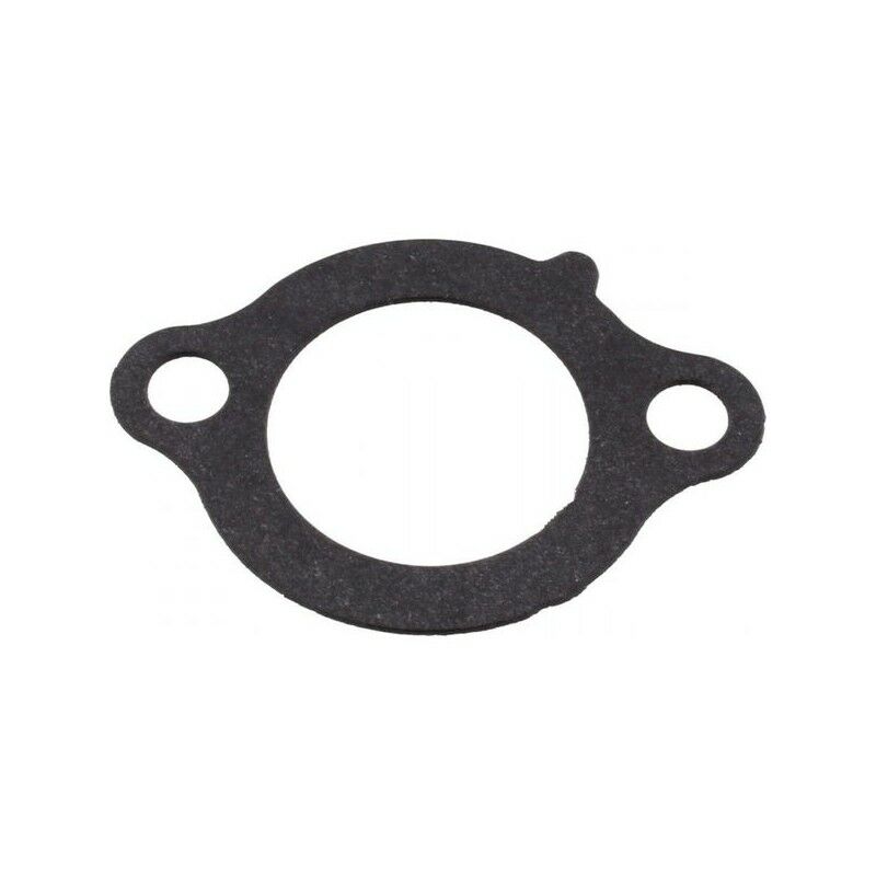 

5JW Yamaha sello de la caja-12213-00 tensor - FJR 1300 02-13