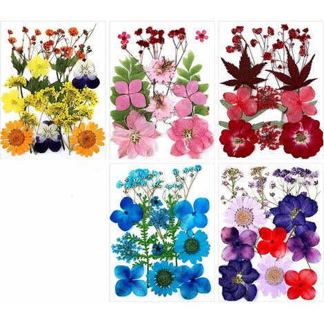5pcs Bricolage Ensemble de Fleurs séchées, Fleurs de Marguerite séchées Naturelles Vraie Bougie résine Bijoux Ongles Pendentif Artisanat Faisant des décors de Fleurs d'art Bricolage Artisanat