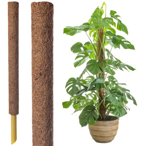 5pcs Un poteau d'escalade de plante - un support de jardin pour les plantes, adapté pour Pothos et les plantes d'escalade